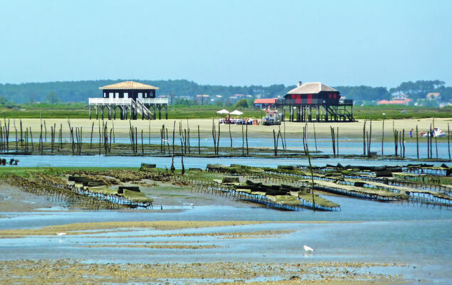 Résidence Le Parc - Photo 17