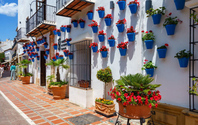 Los Almendros I - Photo 37