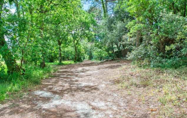 Marina de Talaris - Photo 21