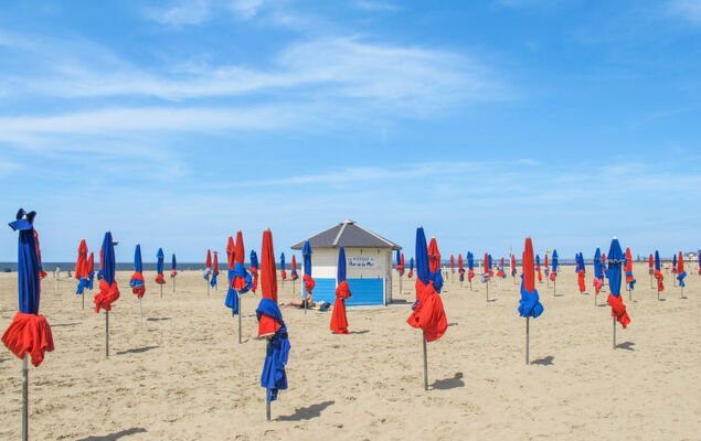 Les écuries de Callenville - Photo 35