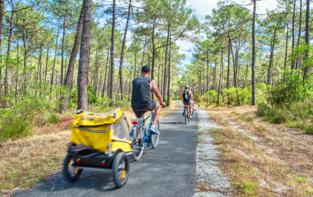 Domaine de Pitrot - Photo 21