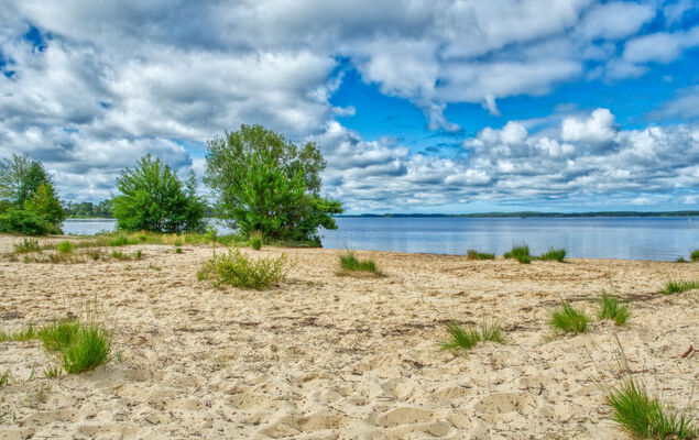 Domaine de Pitrot - Photo 26