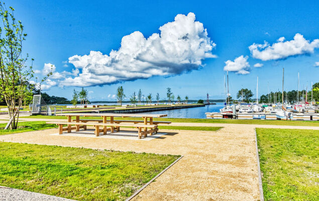 Domaine de Pitrot - Photo 50