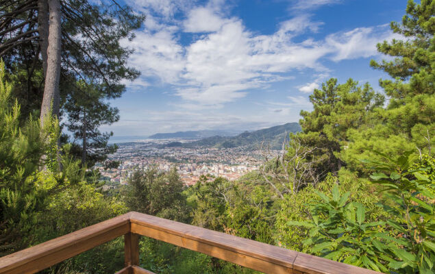 Villa Poggiobello - Photo 5