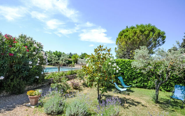 L'Olivier - Photo 40