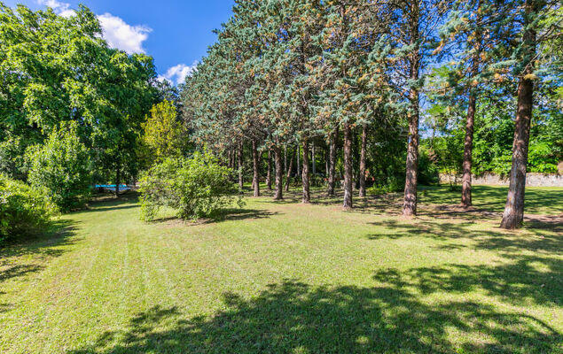 Villa Alari - Photo 109