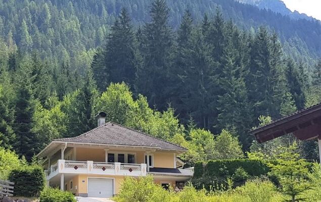 Steindlwald - Photo 1